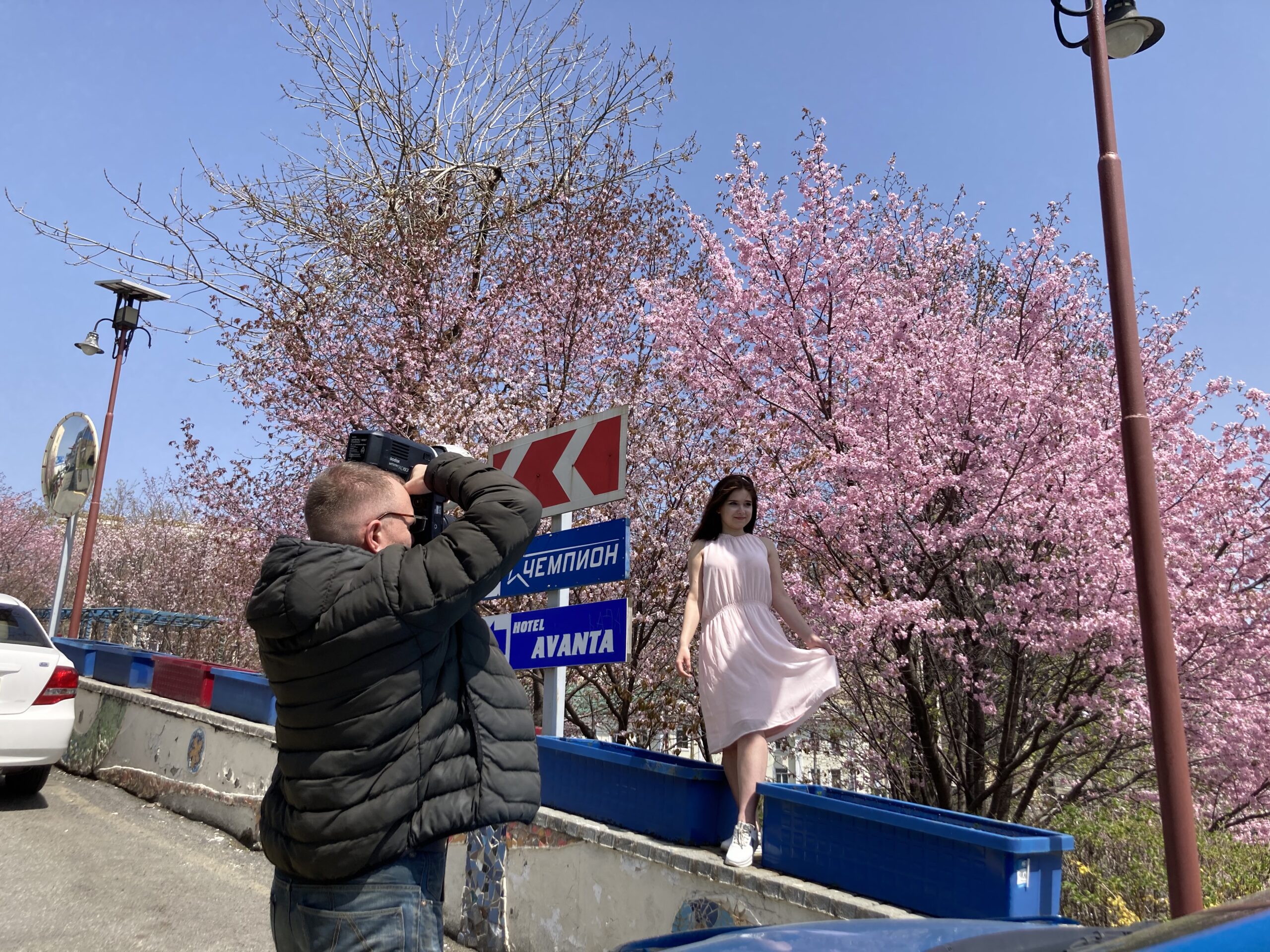 ウラジオストク国立経済サービス大学キャンパス内の桜を撮影する