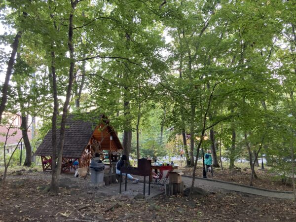 ウラジオストク近郊のリゾートホテルマヤクの林とバーベーキュ小屋